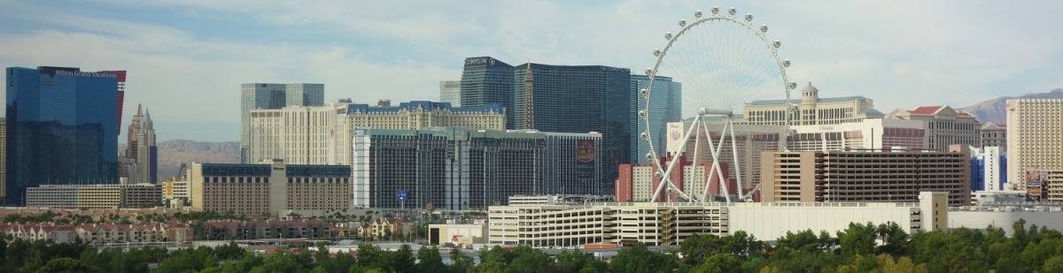 Panorama Las Vegas Strip (Alexander Mirschel)  Copyright 
Informazioni sulla licenza disponibili sotto 'Prova delle fonti di immagine'